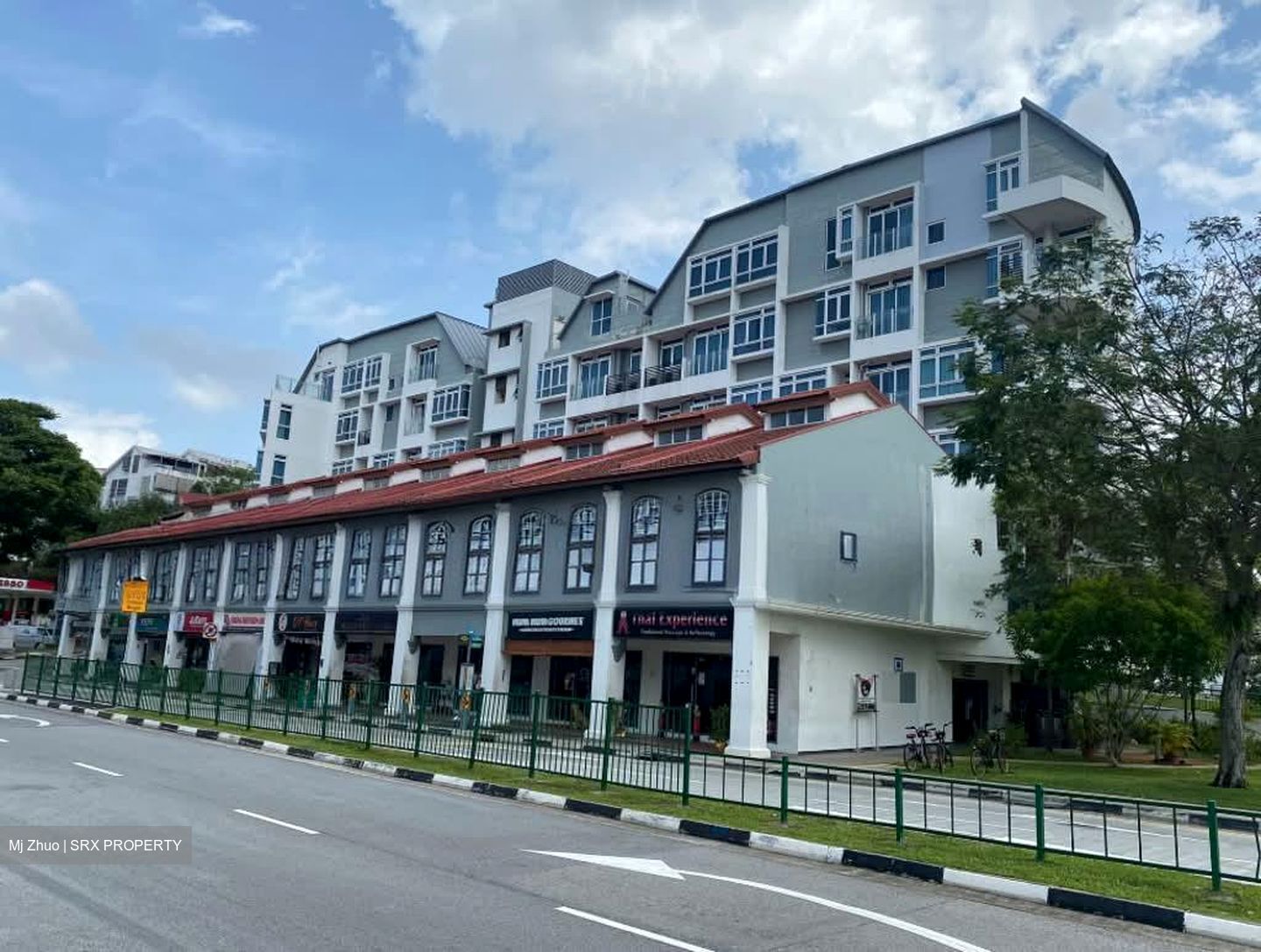 Icon @ Pasir Panjang (D5), Shop House #595008511
